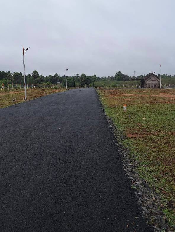 DTCP Land