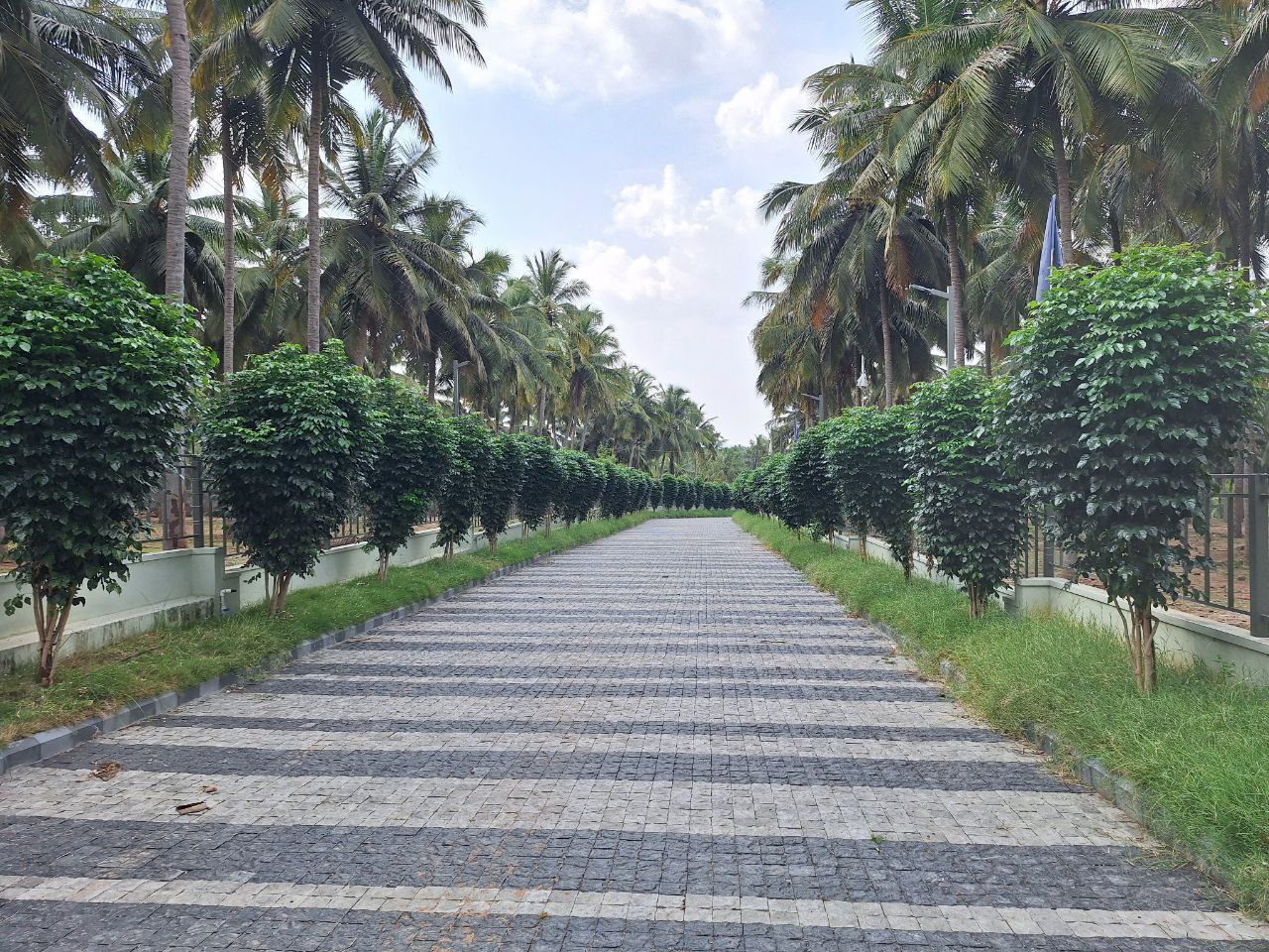 Farm Land