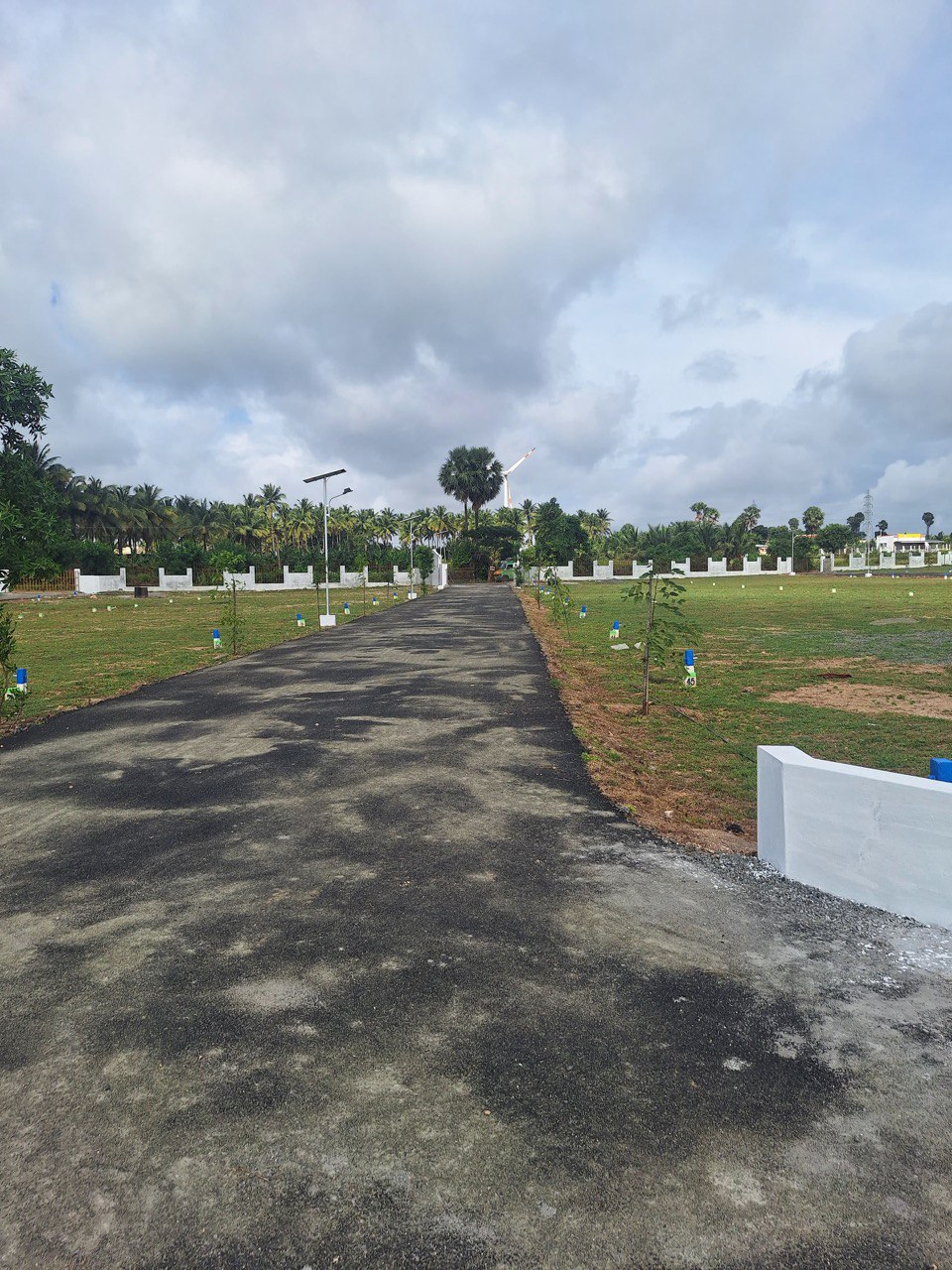 DTCP Land